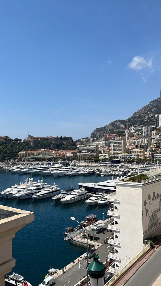 Monaco coastline