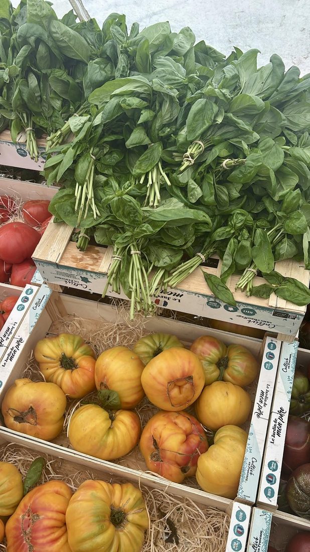 Bunches of basil above crates of yellow heirloom tomatoes