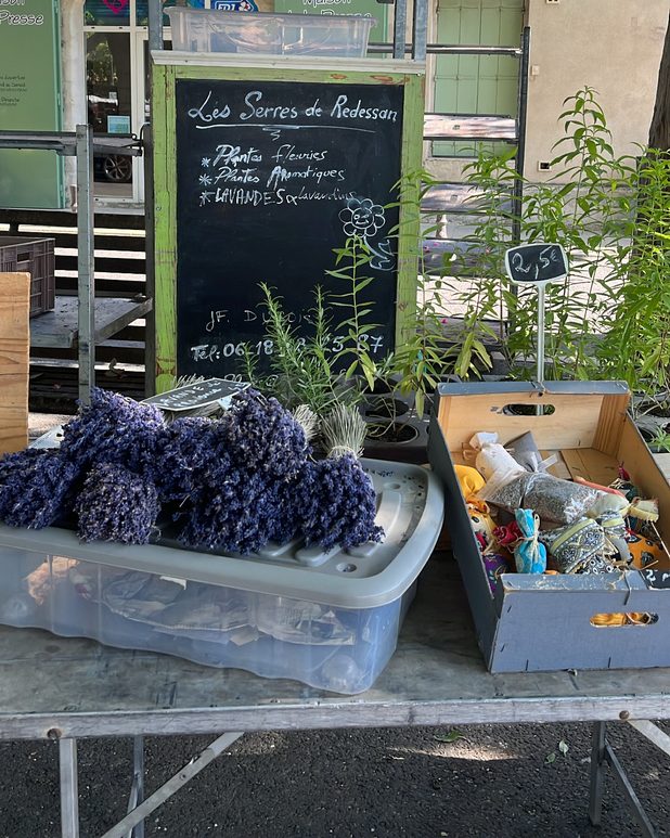 Bunches of cut lavender and potted herbs at a plant stall