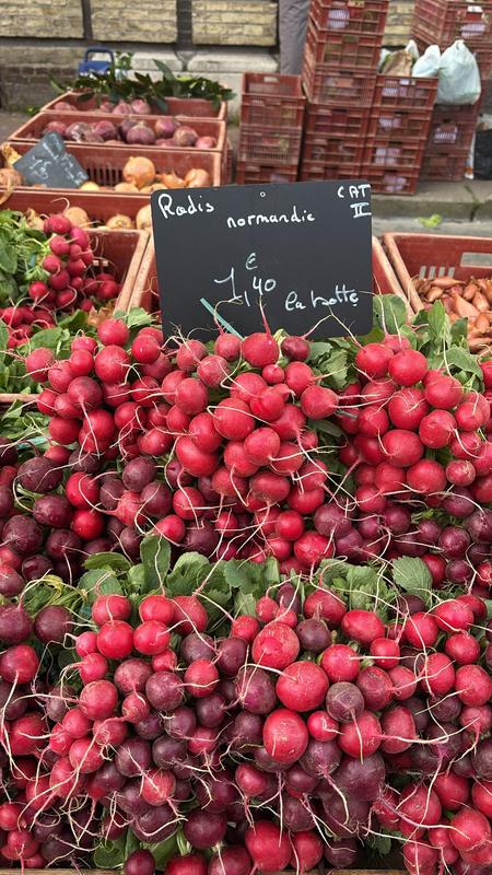 Radishes at a Normandy market